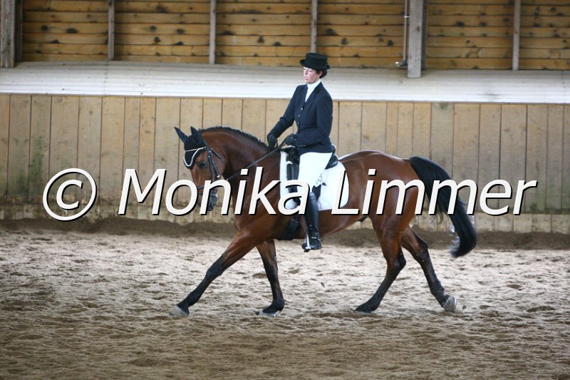 006M5110_Dressur A.JPG